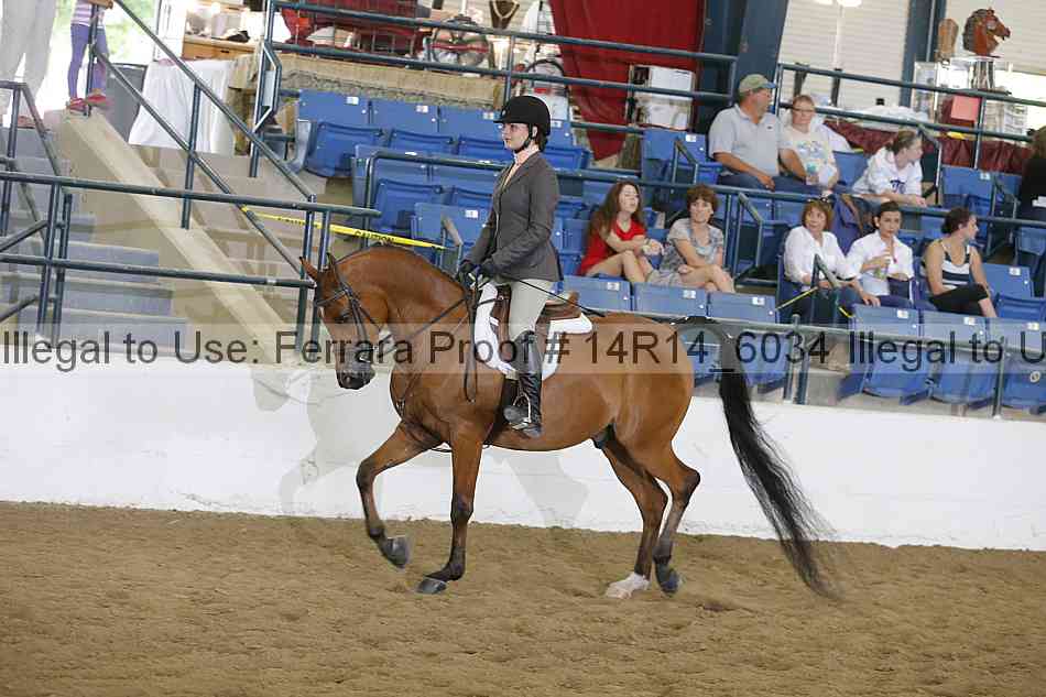 Proof 14r14_6034
