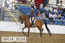 14r14_6034 proof