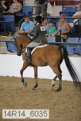 14r14_6035 proof