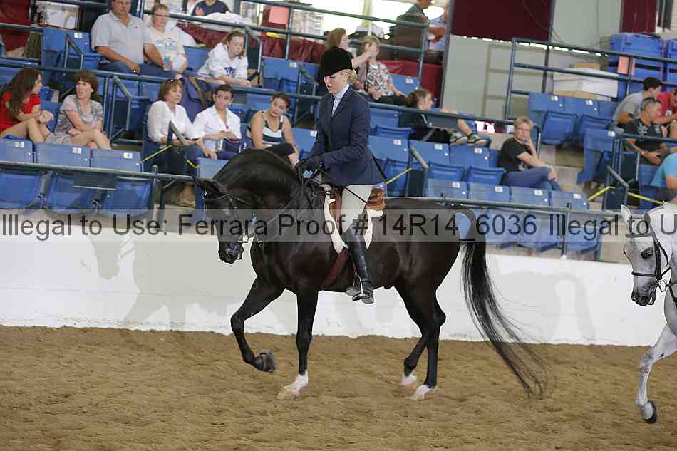 Proof 14r14_6036