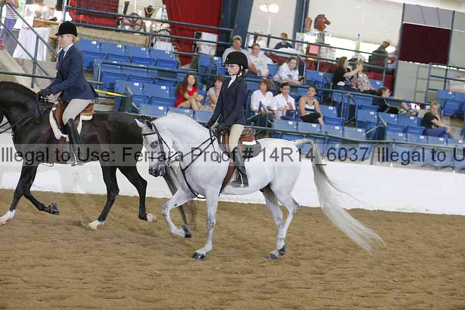 Proof 14r14_6037