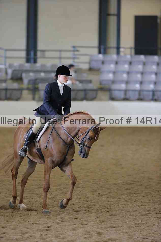 Proof 14r14_6038