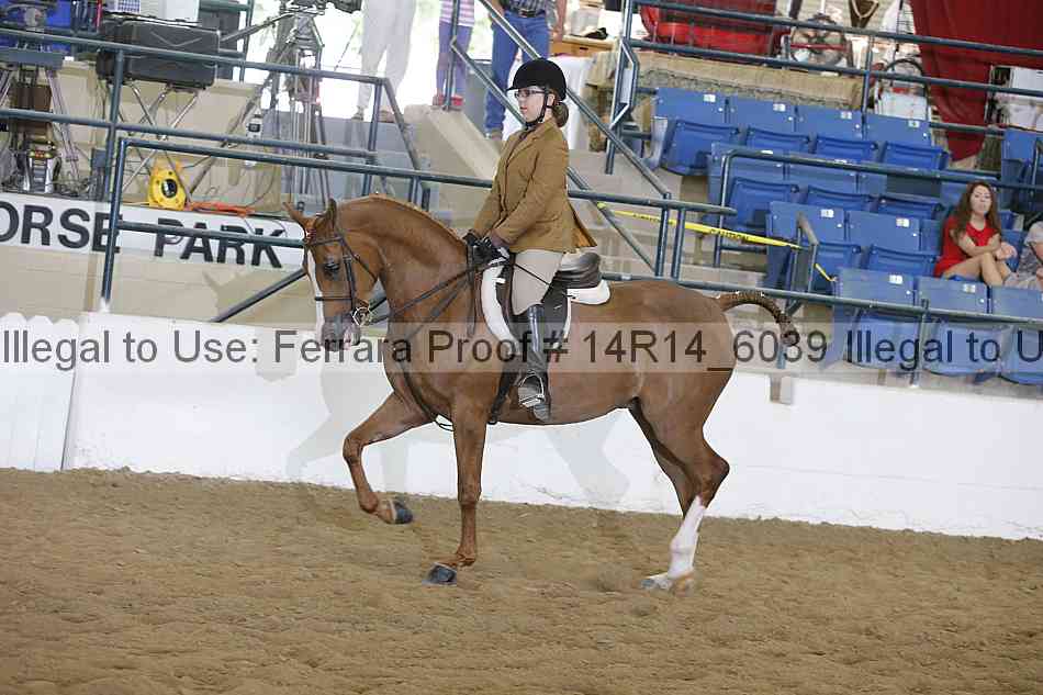 Proof 14r14_6039