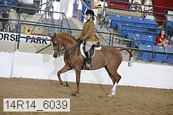14r14_6039 proof