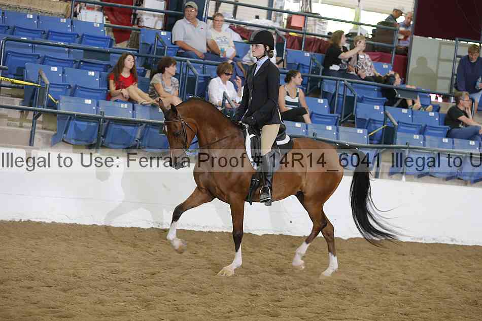 Proof 14r14_6041