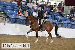 14r14_6041 proof