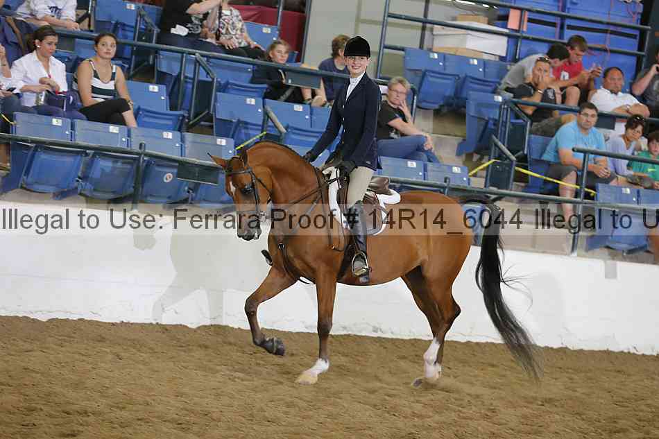 Proof 14r14_6044