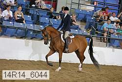 14r14_6044 proof