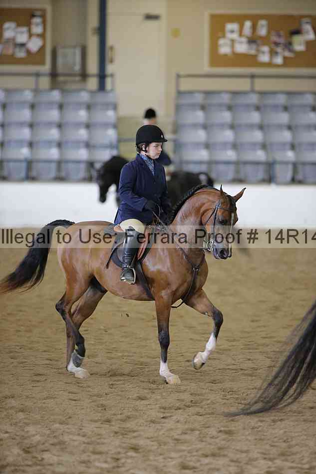 Proof 14r14_6045