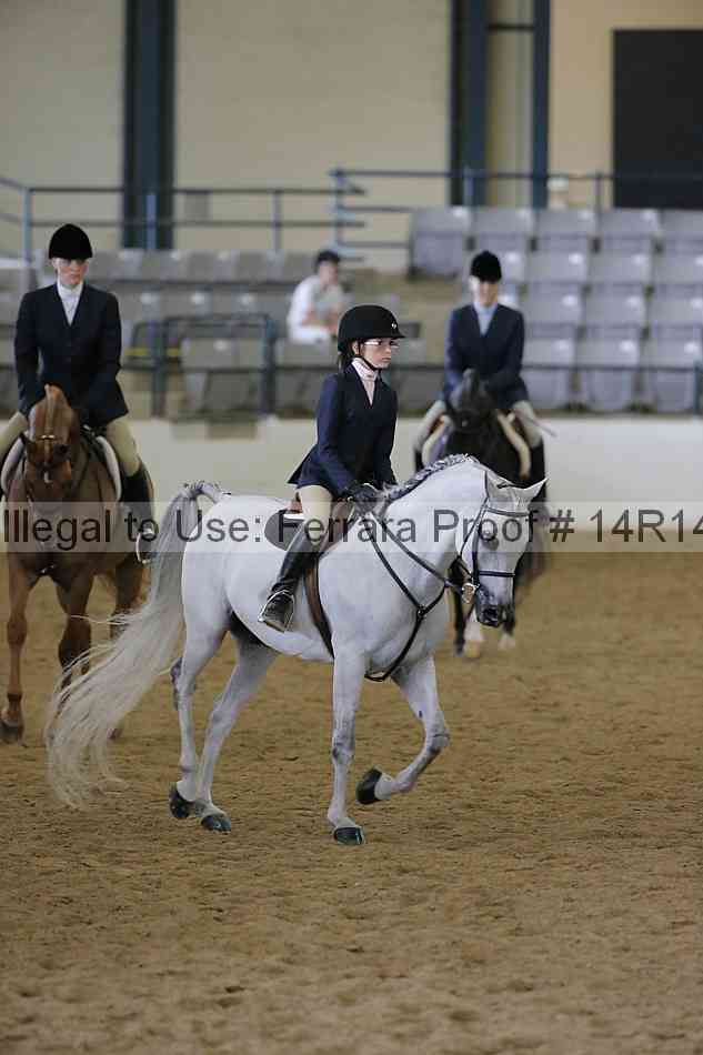 Proof 14r14_6046