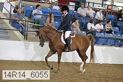 14r14_6055 proof