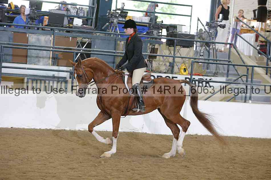 Proof 14r14_6063