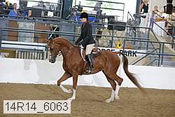 14r14_6063 proof