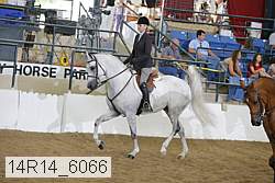 14r14_6066 proof