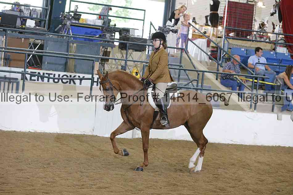 Proof 14r14_6067
