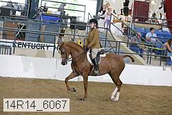 14r14_6067 proof