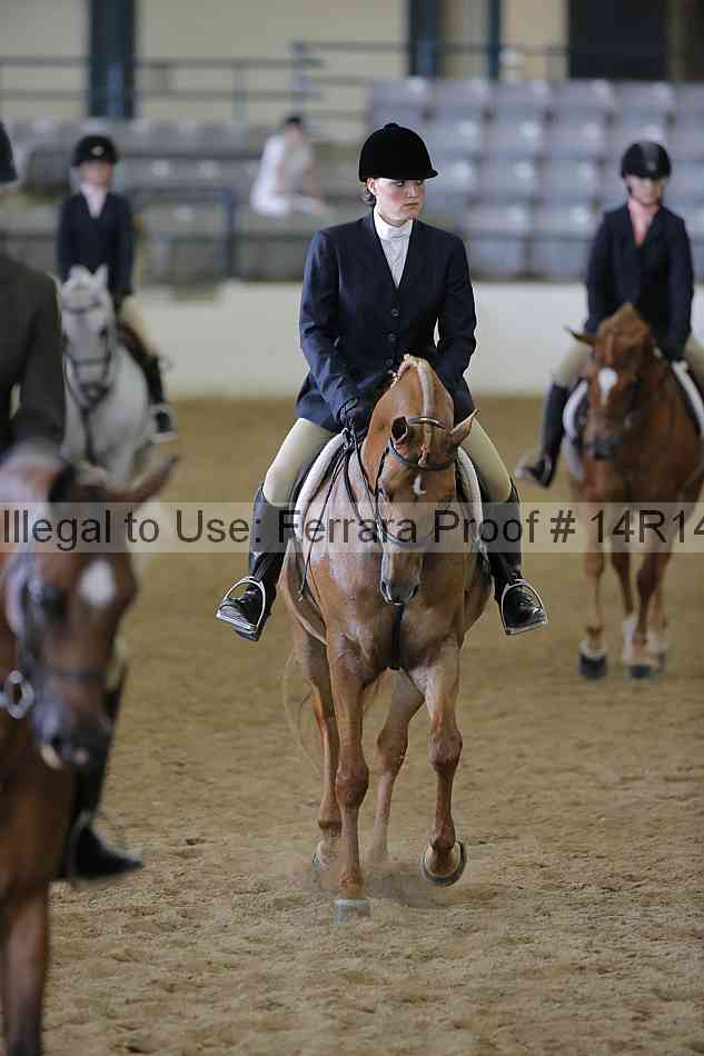 Proof 14r14_6068