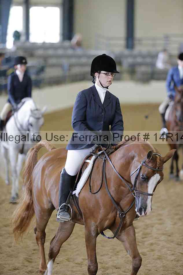 Proof 14r14_6069