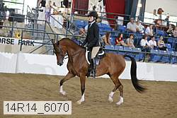 14r14_6070 proof