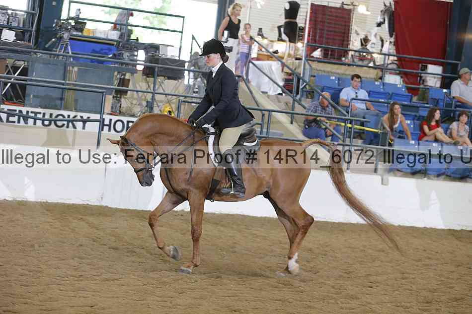 Proof 14r14_6072