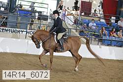 14r14_6072 proof
