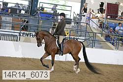 14r14_6073 proof