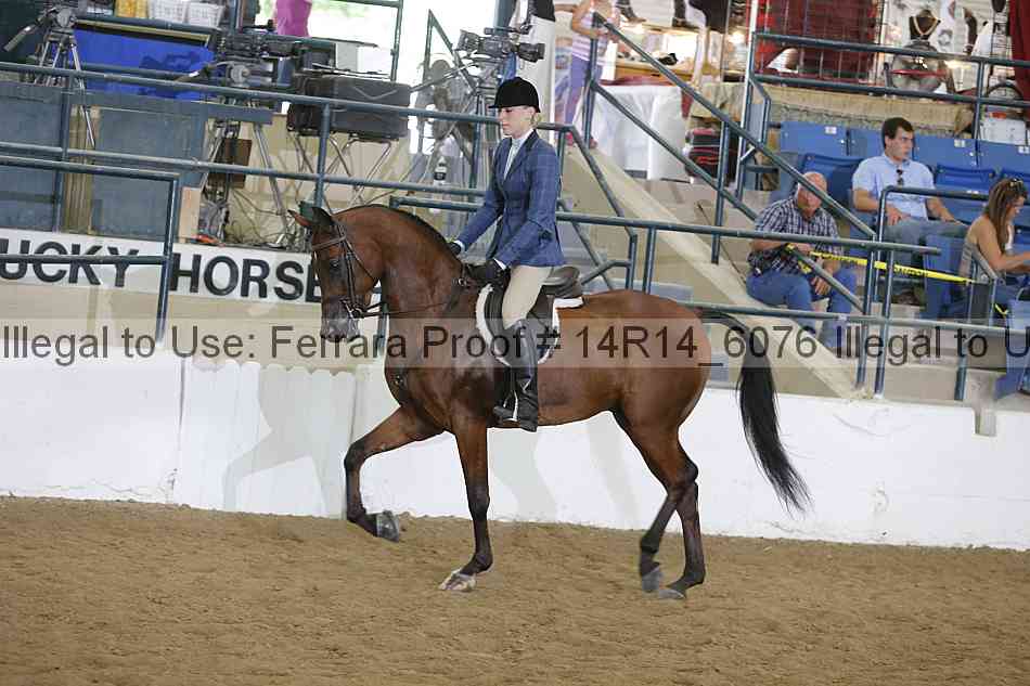 Proof 14r14_6076