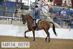 14r14_6076 proof