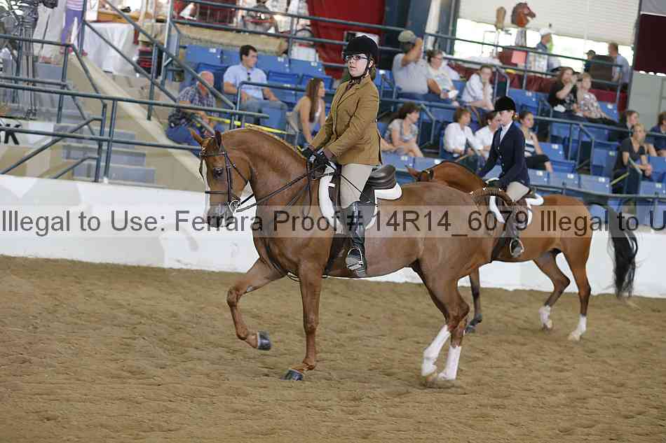 Proof 14r14_6079
