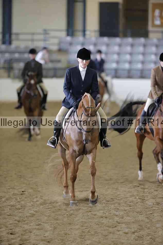 Proof 14r14_6083
