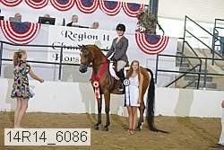 14r14_6086 proof