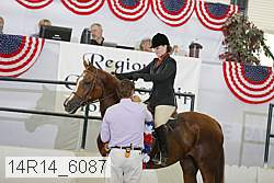 14r14_6087 proof