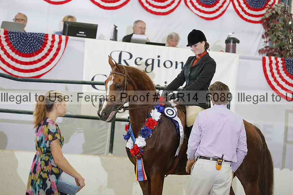 Proof 14r14_6089