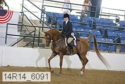 14r14_6091 proof