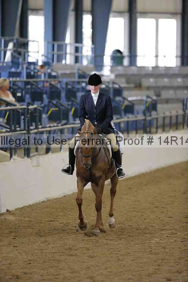 Proof 14r14_6093