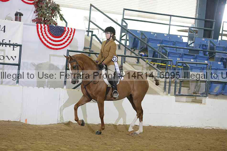 Proof 14r14_6095