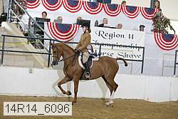 14r14_6096 proof