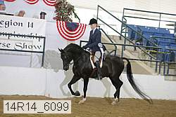 14r14_6099 proof