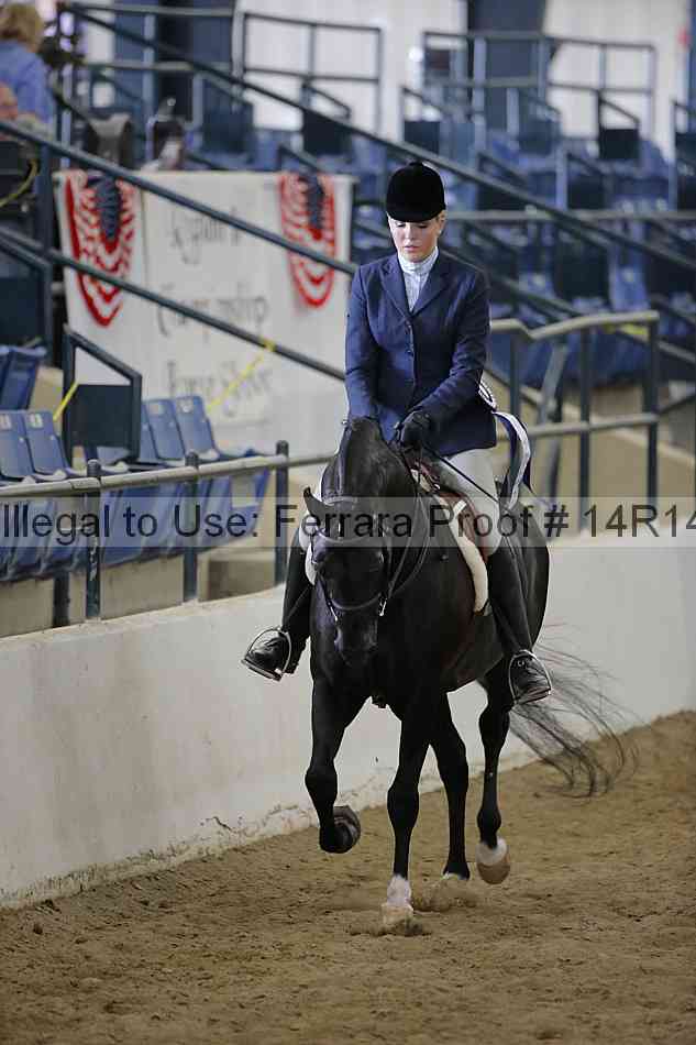 Proof 14r14_6101