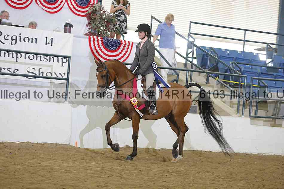 Proof 14r14_6103