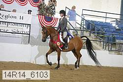 14r14_6103 proof