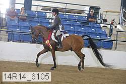 14r14_6105 proof