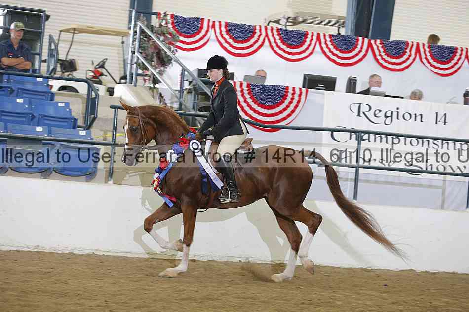 Proof 14r14_6110