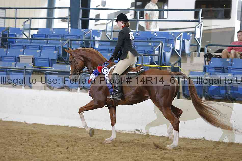 Proof 14r14_6111