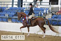 14r14_6111 proof