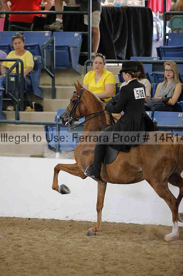 Proof 14r14_6263