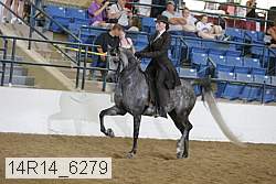 14r14_6279 proof