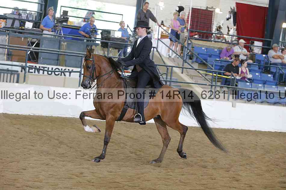 Proof 14r14_6281