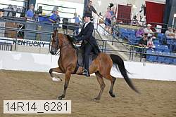 14r14_6281 proof