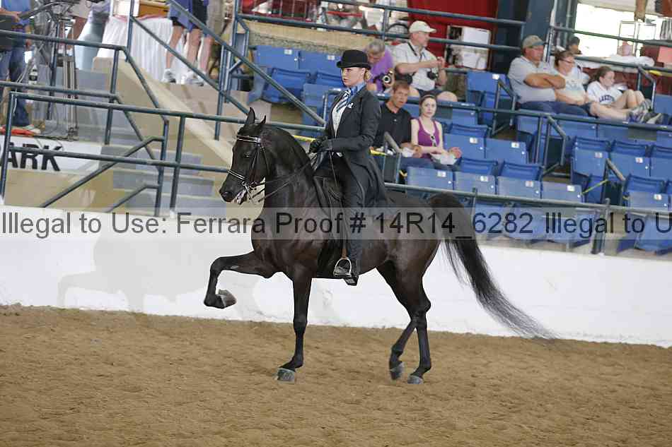 Proof 14r14_6282